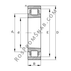 Купить Подшипник N1024-K-M1-SP FAG от официального производителя