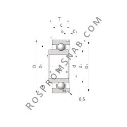 Купить Подшипник SX05A45NCS08 NTN от официального производителя