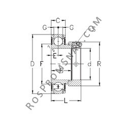 Купить Подшипник RAE40NPPB PFI от официального производителя