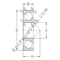 Купить Подшипник RABRB12/47-FA106 INA от официального производителя