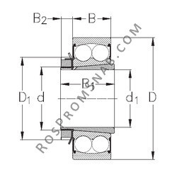 Купить Подшипник 2209-K-2RS+H309 NKE от официального производителя