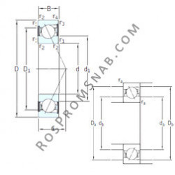 Купить Подшипник E 255 /S/NS /S 7CE3 SNFA от официального производителя