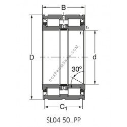 Купить Подшипник SL04 5026 PP2NR Rolek от официального производителя