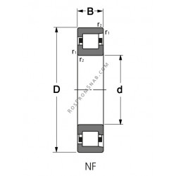 Купить Подшипник NF 220 Rolek от официального производителя