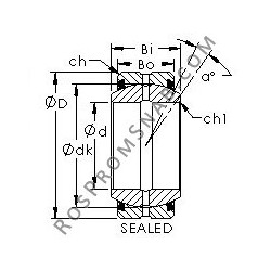 Купить Подшипник GE30ES-2RS AST от официального производителя