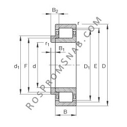 Купить Подшипник NJ2232-E-M1 + HJ2232-E FAG от официального производителя