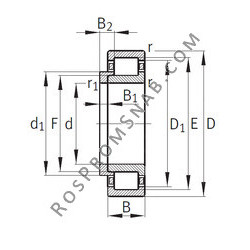 Купить Подшипник NJ248-E-M1+HJ248-E FAG от официального производителя