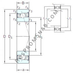 Купить Подшипник HB55 /S 7CE1 SNFA от официального производителя