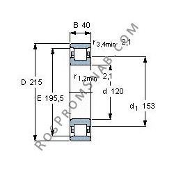 Купить Подшипник N224 E.M1 от официального производителя