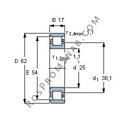 Купить Подшипник N305 ECP от официального производителя