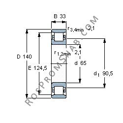 Купить Подшипник N313 E.TVR2.C3 от официального производителя