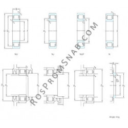 Купить Подшипник NUP220ECP SKF от официального производителя