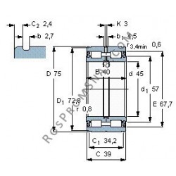 Купить Подшипник NNF5009 2LS.V от официального производителя