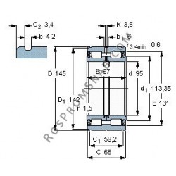 Купить Подшипник NNF5019 2LS.V от официального производителя