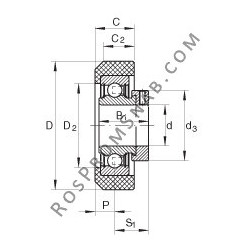 Купить Подшипник RCRB25/57-FA106 INA от официального производителя